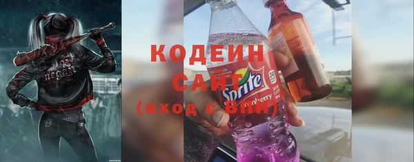шишки Лабытнанги