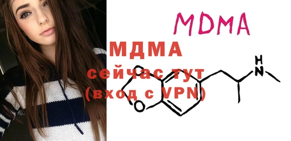шишки Лабытнанги