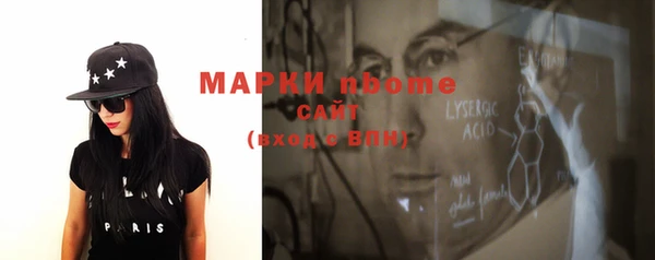 шишки Лабытнанги