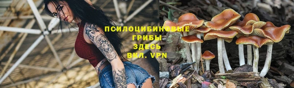 a pvp Лагань